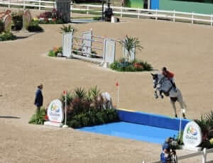 show jumping