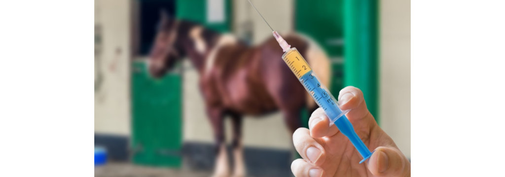 horsevaccination