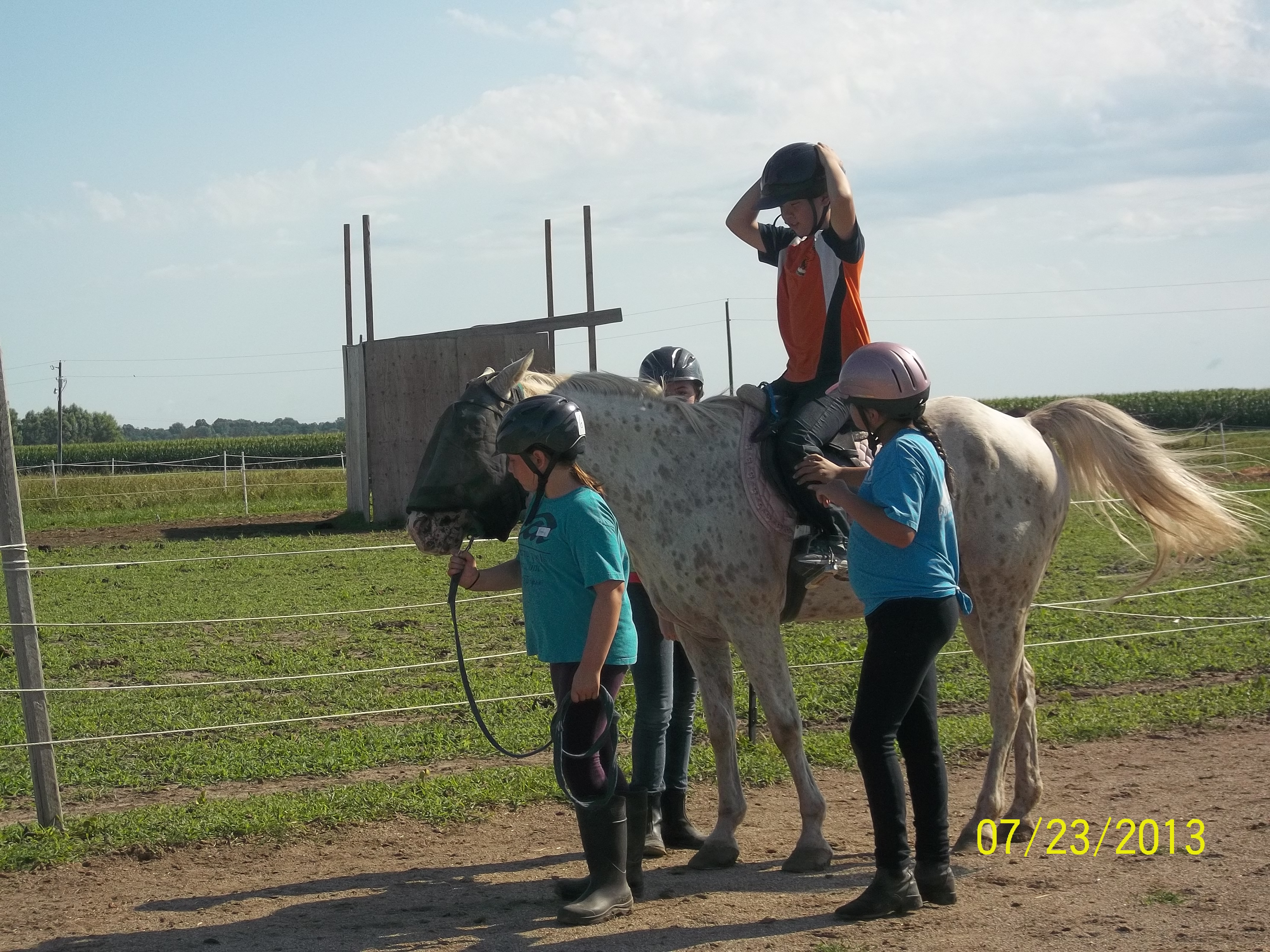 Lesson on large pony